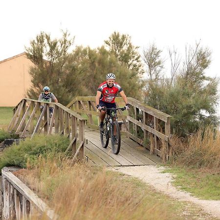 Le Terrazze Apartments Lido di Spina Luaran gambar